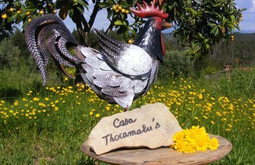 Tabua Appartement | casa thocamalu's