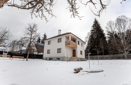 Izvoru Muresului Villa | Casa Tinca 1