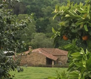 Vila de Cruces Maison | Casa Torres