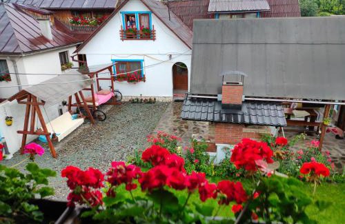 Viseu de Sus Maison | Casa Toth din Țipțerai