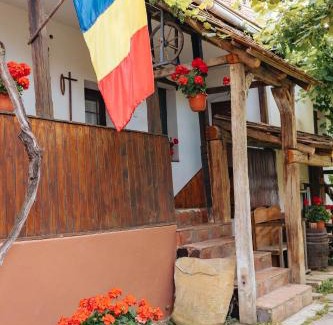 Vistea de Jos Maison | Casa Tradițională Transilvăneana