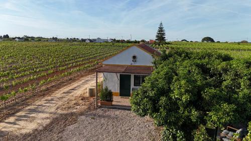 Palmela Appartement | Casa Trincadeira
