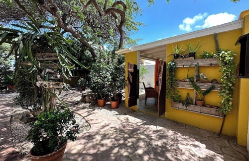 Savaneta Cottage | Casa Tropical Cottage w/ Pool