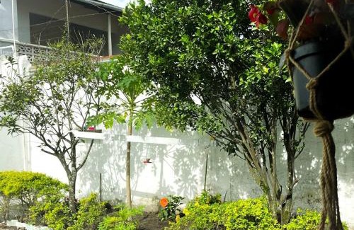 Guaduas Maison | Casa Turística la Villa de Poli