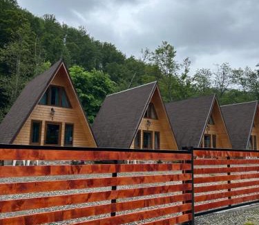 Cartisoara Cabine | Casa Ursu