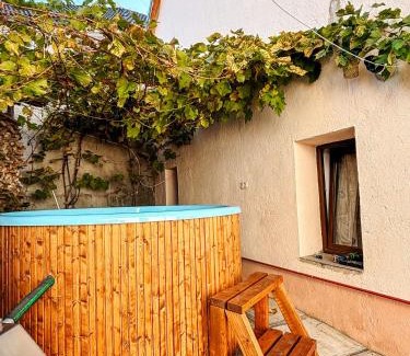 Sadu Maison | Casa Ursului - Rustic house in traditional village
