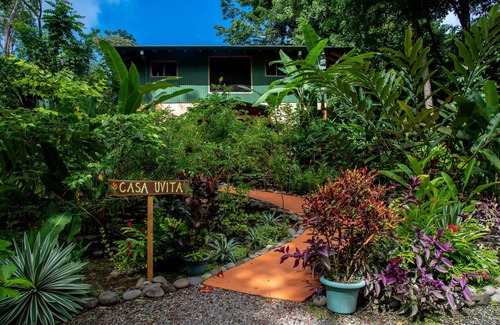 Ballena Maison | Casa Uvita: forêt tropicale et vue sur l'océan, Eco-Home