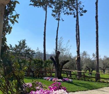 Albanella Maison | Casa Vacanza Capozzoli