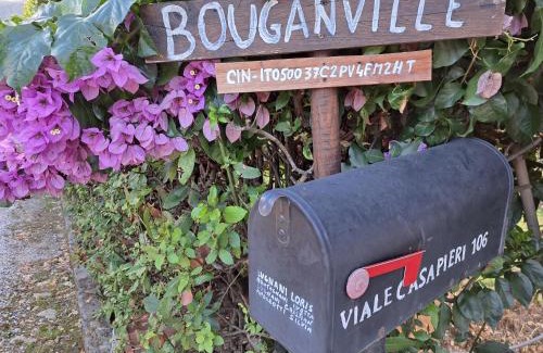 Avane Appartement | Casa Vacanze “Bouganville” loc Avane Pisa