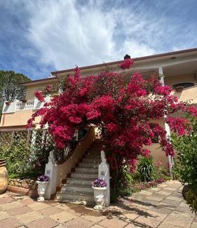 Iglesias Appartement | Casa Vacanze La Brii