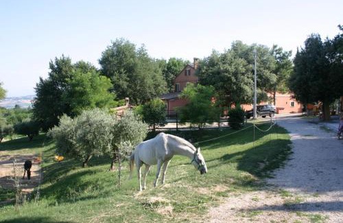 Serrungarina Maison | Casa Vacanze La Meridiana
