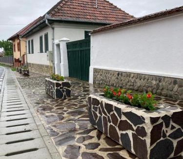 Arpasu de Sus Maison | Casa Veronica