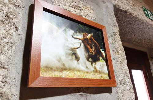 Viade de Baixo Maison | Casa Viade