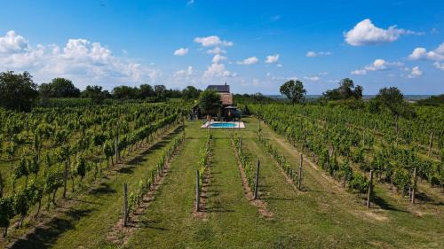 South Backa District Villa | Casa VIDA