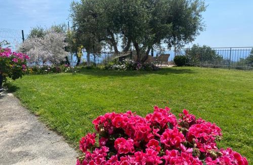 Imperia Maison | CASA VISTA MARE - Superb garden and Parking included