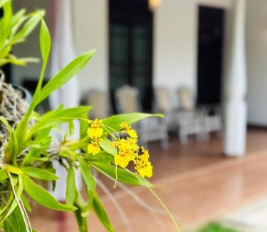 Peliyagoda Maison | Casa Winnie