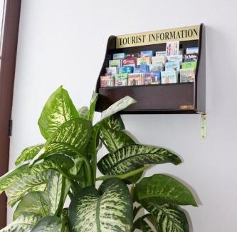 Granadilla de Abona Maison | Casa Yoel