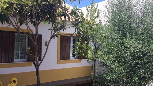 Cabecao Maison | Casa Zé Actor