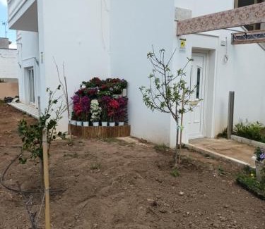 Felline Maison | Casabianca