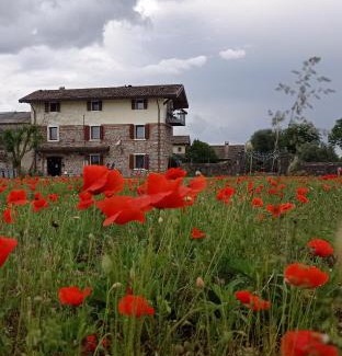Cussignacco Maison | CASAL MICELIO