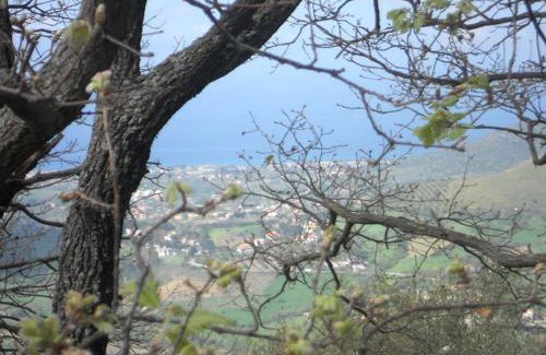 Laureana Cilento Maison | Casale Il Gheppio