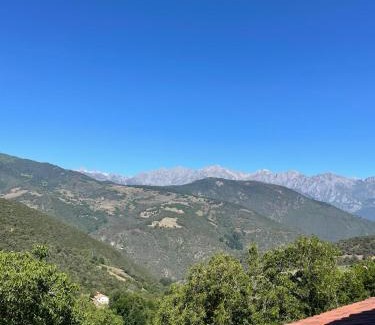 Tollo Appartement | Casamor