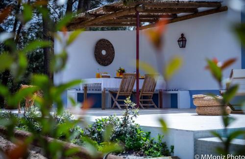 Alcacer do Sal Maison | Casas da Horta