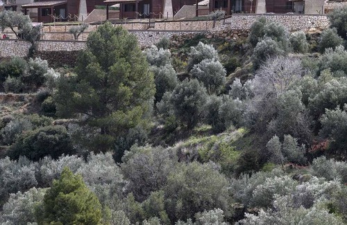 Yeste Cottage | Casas de Madera en las Montañas con Piscina y Barbacoa, en la Sierra del Segura