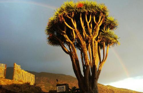 El Tablado Maison | Casas las Gemelas VIEWPOINT!