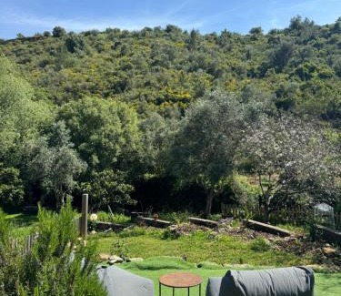 Aldeia da Mata Pequena Maison | Casas Rio Verde