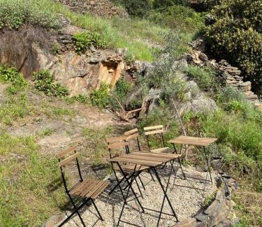 Cambron Appartement | Casas Rurales Prunus avium