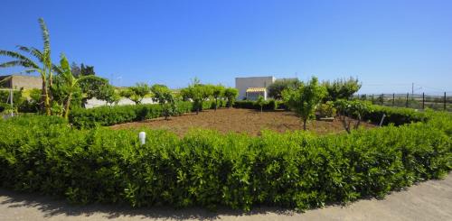 Dattilo Maison | Casavacanza Dattilo