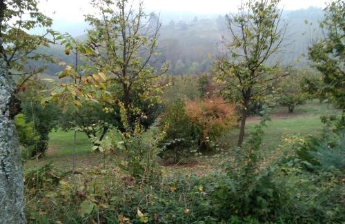 Alba Lit Et Petit-Déjeuner | Cascina Baresane