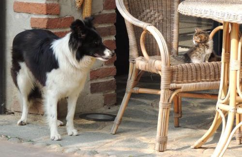 Peveragno Maison | Cascina La Commenda