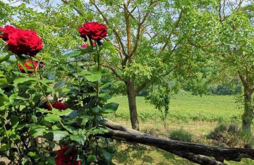 Cassine Lit Et Petit-Déjeuner | Cascina Valtignosa Camere Con Vigna
