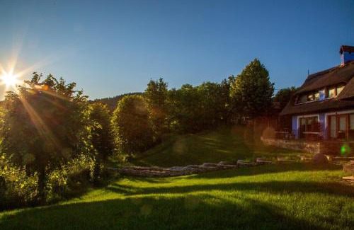 Ciurila Appartement | Casele cu Stuf B&B Haus Ulrike