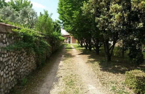 Pavia di Udine Appartement | Casetta Alta