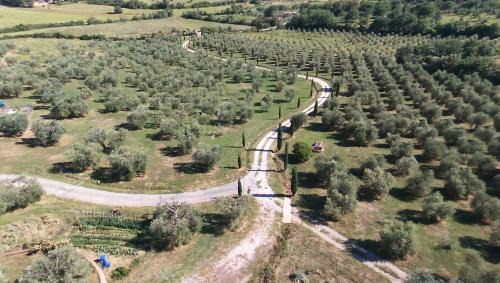 Montorsaio Maison | Casetta dell`Uliveto