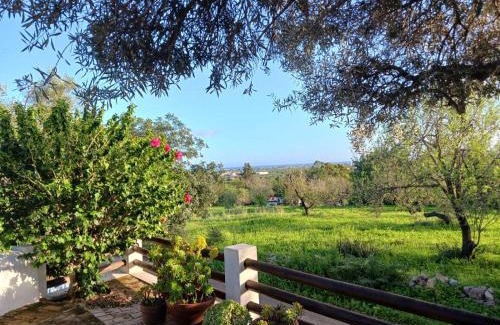 Santo Estevao Maison | Casinha Serena by east ALgarve guest