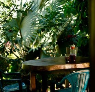 Cabuya Maison | Casita Colibri