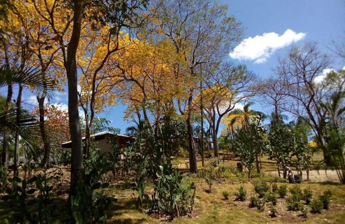 Playa Grande Maison | Casita Linda Vista / étapes de la plage / Paisible & Private / Tout équipée