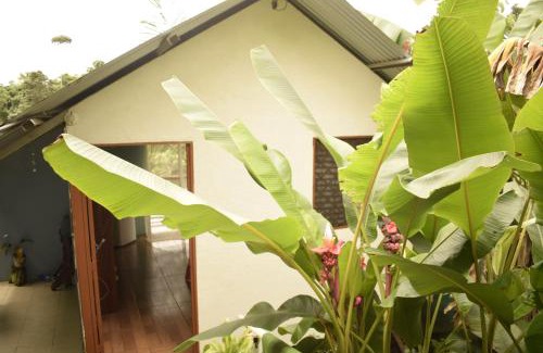 Drake Bay Appartement | Casita Tangara con balcón y agua caliente