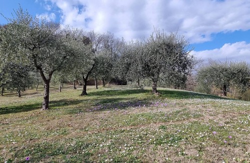 Santa Maria a Monte Appartement | Casolare Di Capilato
