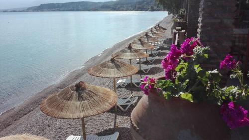 Alissos Maison | Castella Beach