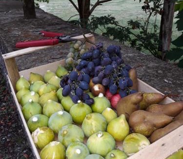 Subbiano Maison | Castello di Valenzano