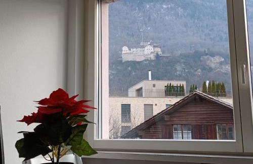 Vaduz Appartement | Castle View Big Appartment Vaduz Center