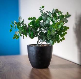 Glasgow Appartement | Castlefern House