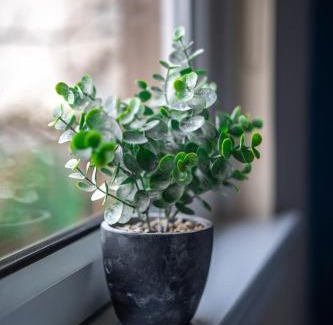 Glasgow Appartement | Castlefern House