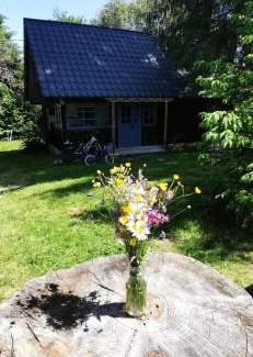 Risca Chalet De Ski | Casuta dintre brazi