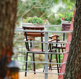 Cat Hai Cabine | Cat Ba Eco Lodge